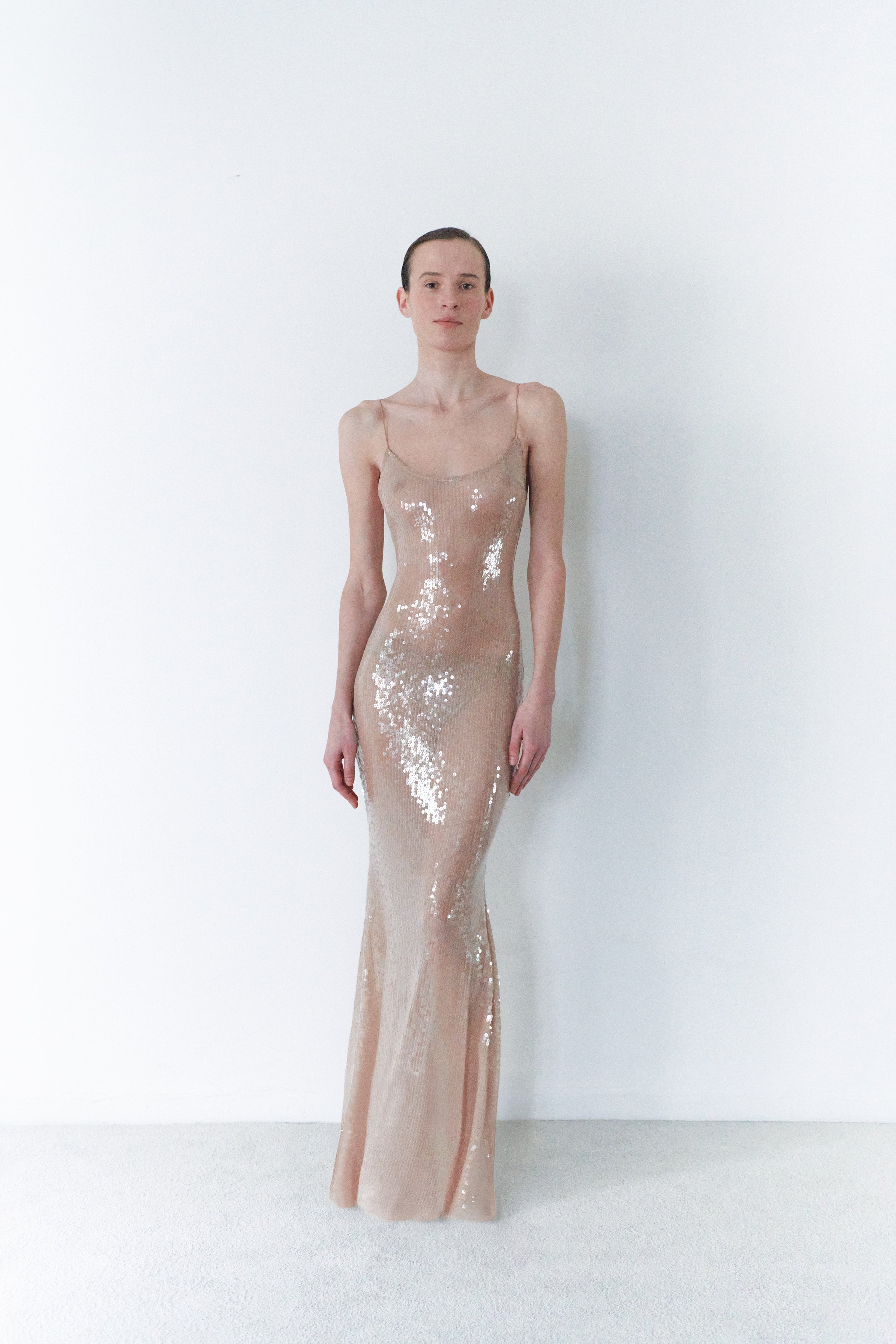 Nude Sequin Long Transparent Dress – LEAM ALMES Nude Sequin Long Transparent Dress – LEAM ALMES