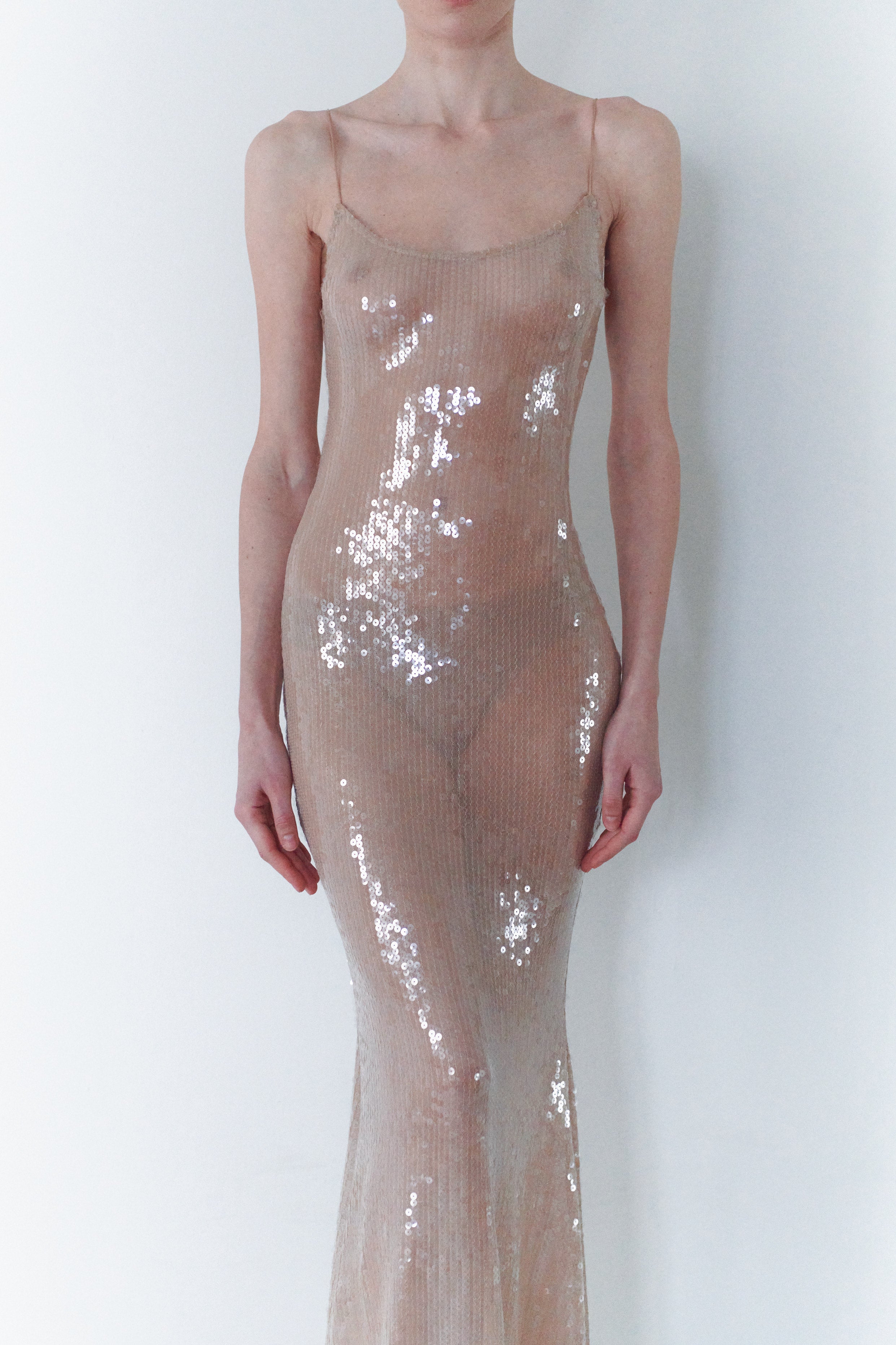 Nude Sequin Long Transparent Dress