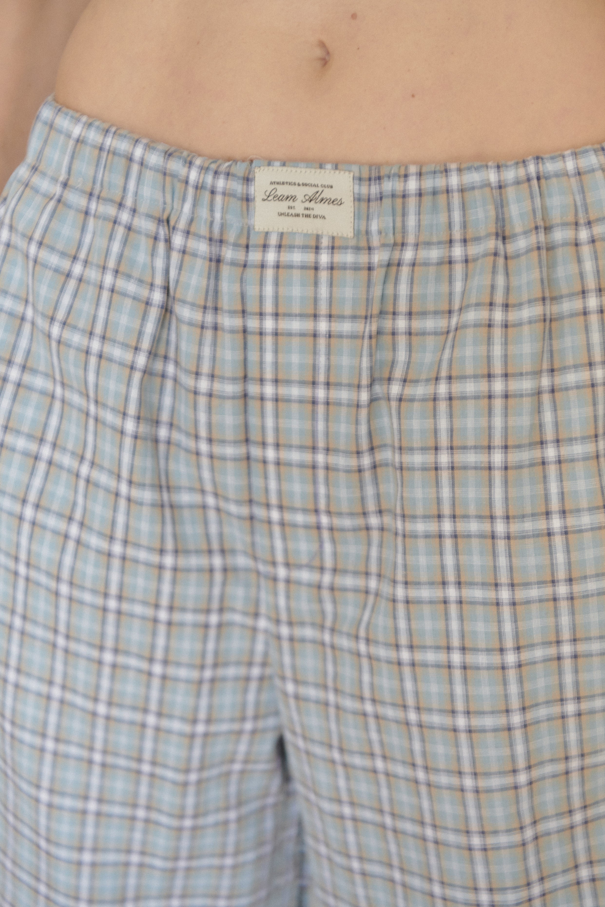 Blue Plaid Cotton Poplin Pants