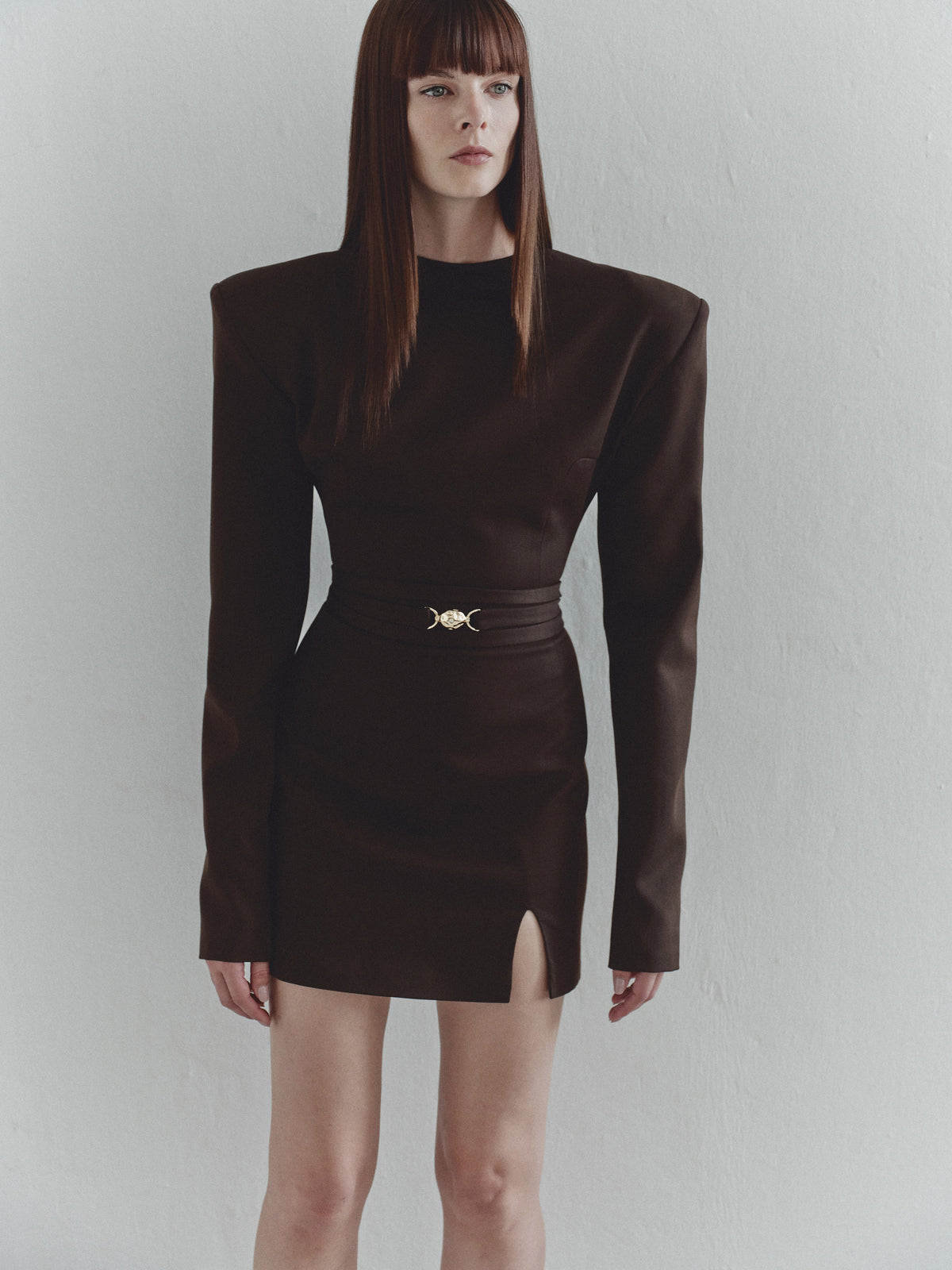 Brown Mini Padded Dress with Gold Pleated Hand-Made Accesory